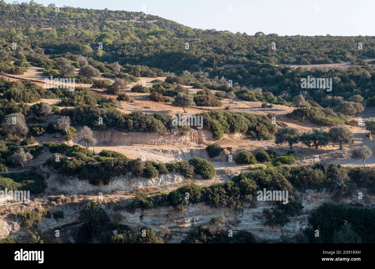 A hunter waits at the mouth of the Avakas Gorge at the start of the hunting season on the Akamas Peninsula, Paphos region Cyprus. Stock Photo