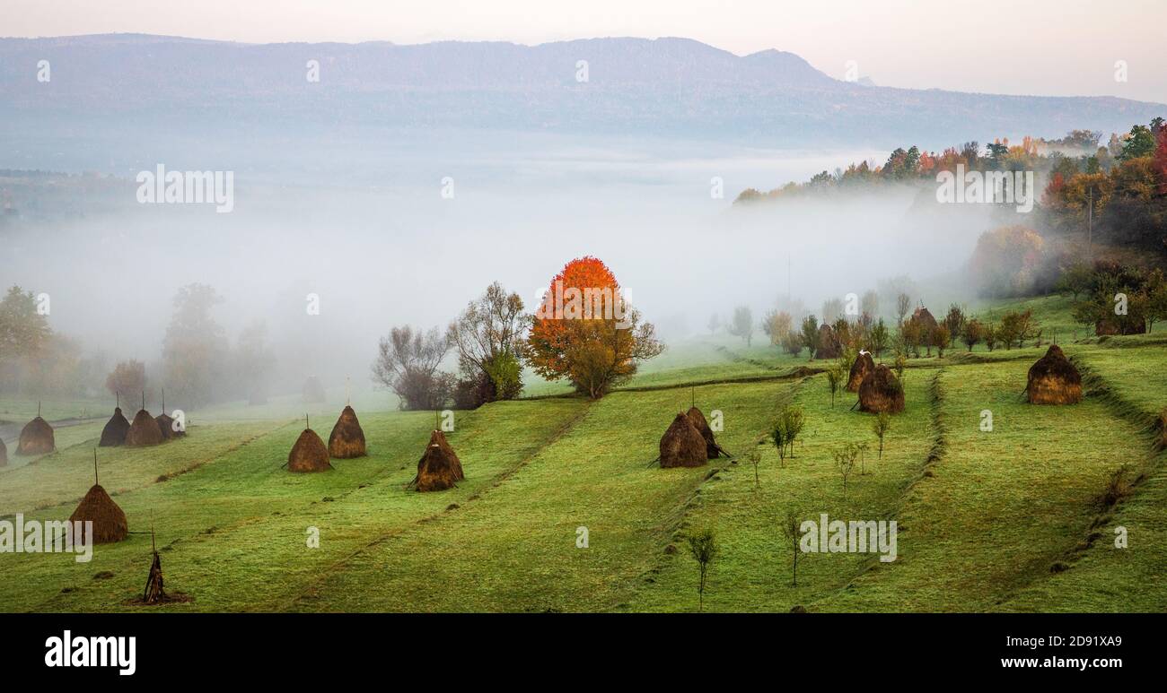 rural autumn landscape with fog and hay stacks Stock Photo - Alamy