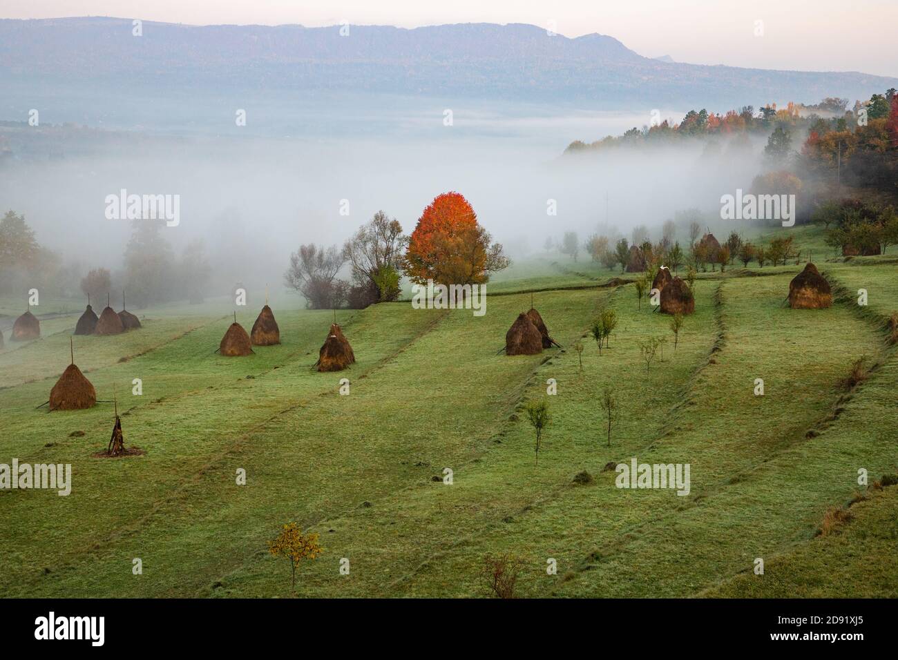 rural autumn landscape with fog and hay stacks Stock Photo - Alamy