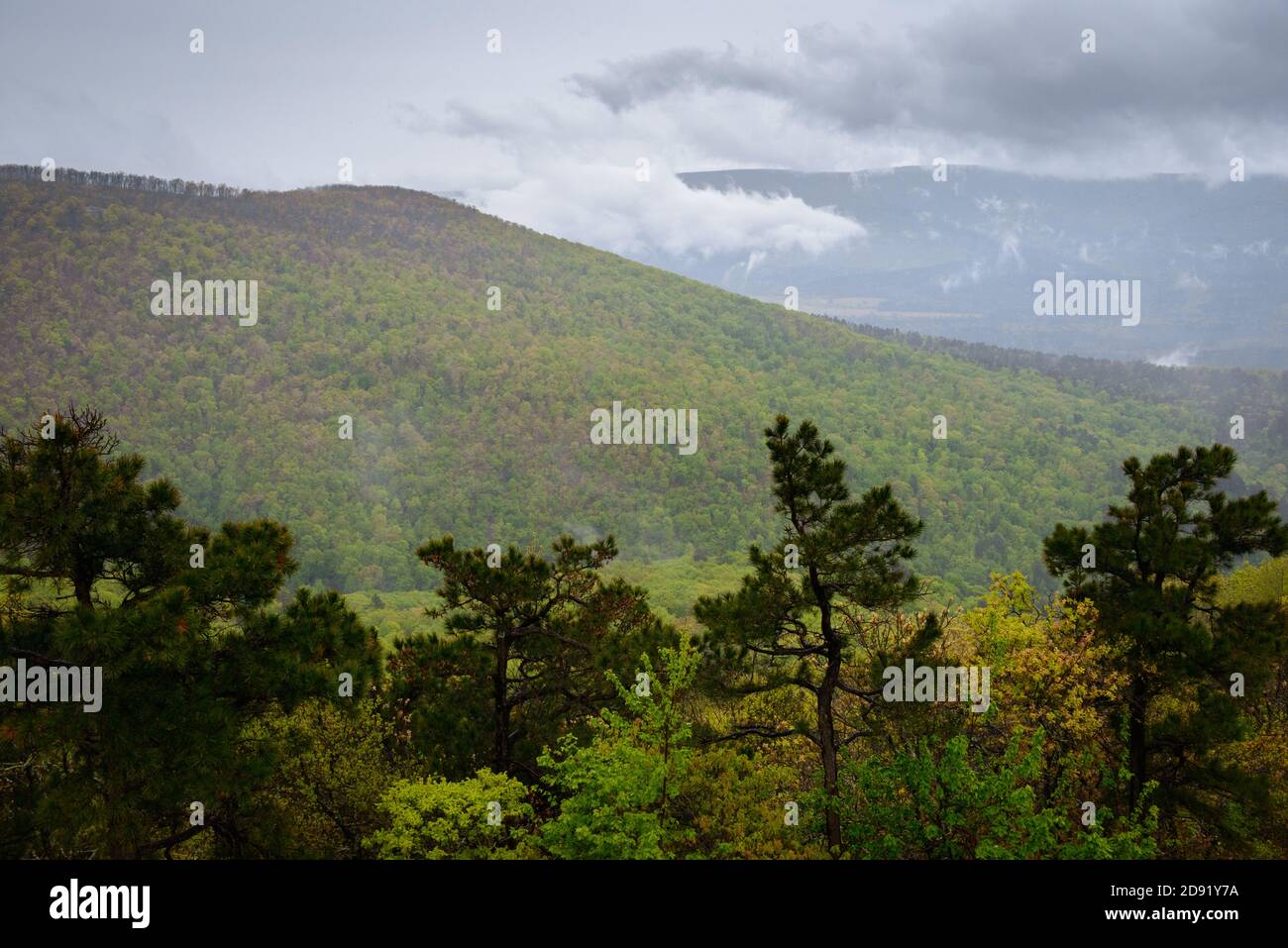 Talimena Scenic Drive Stock Photo Alamy