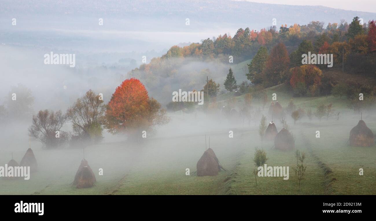 rural autumn landscape with fog and hay stacks Stock Photo - Alamy