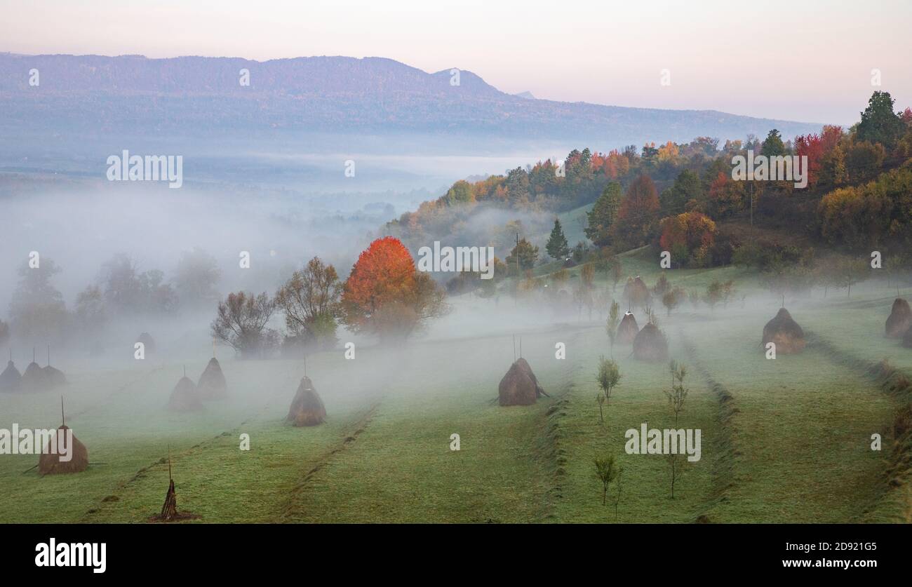 rural autumn landscape with fog and hay stacks Stock Photo - Alamy