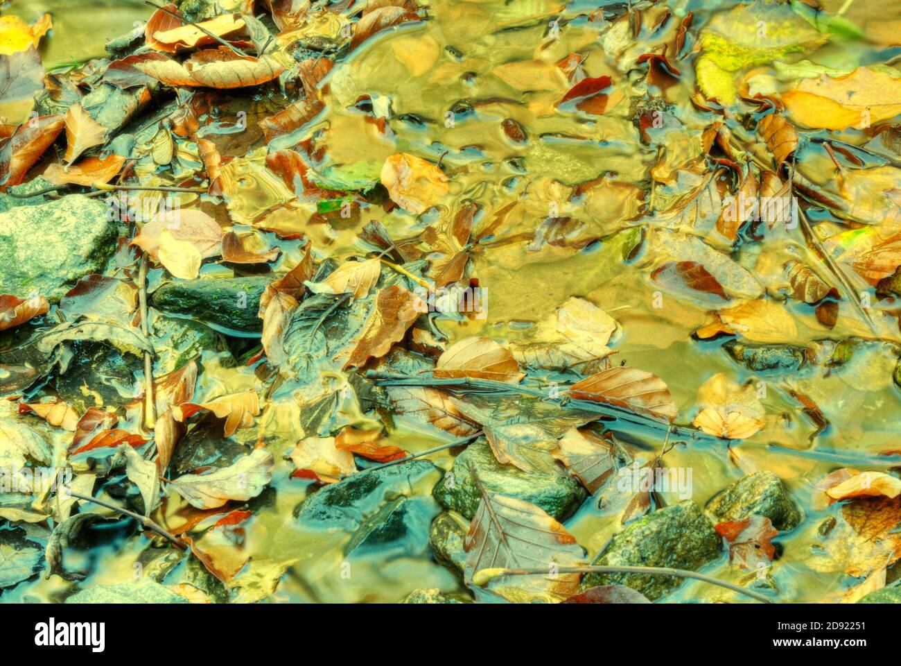 Yellow autumn background. leaves floating in water texture Stock Photo ...