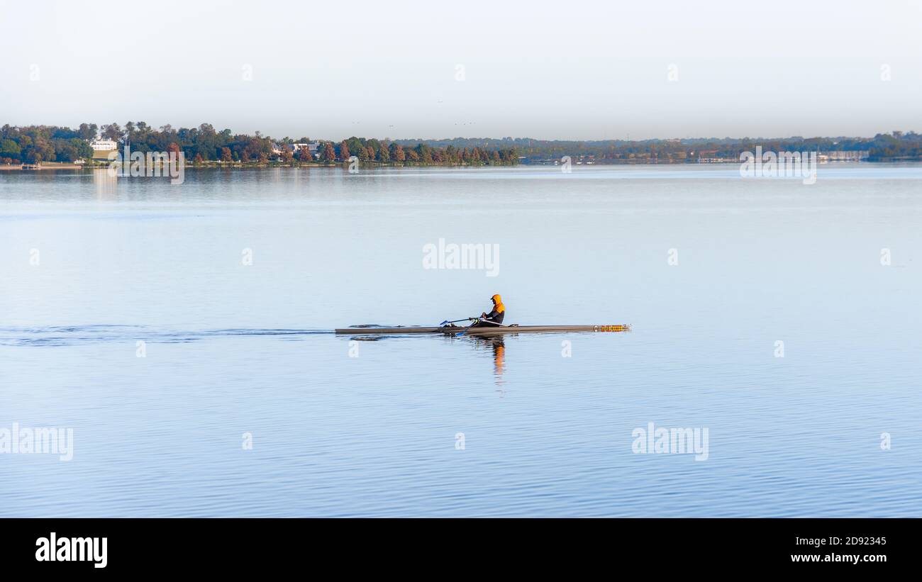 Sculling Stock Photo