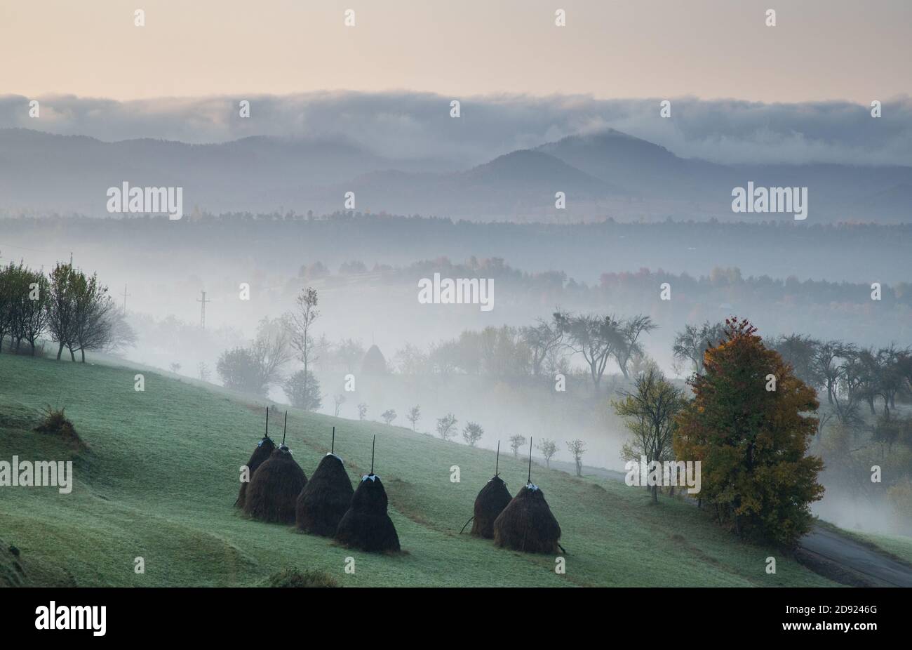 rural autumn landscape with fog and hay stacks Stock Photo - Alamy