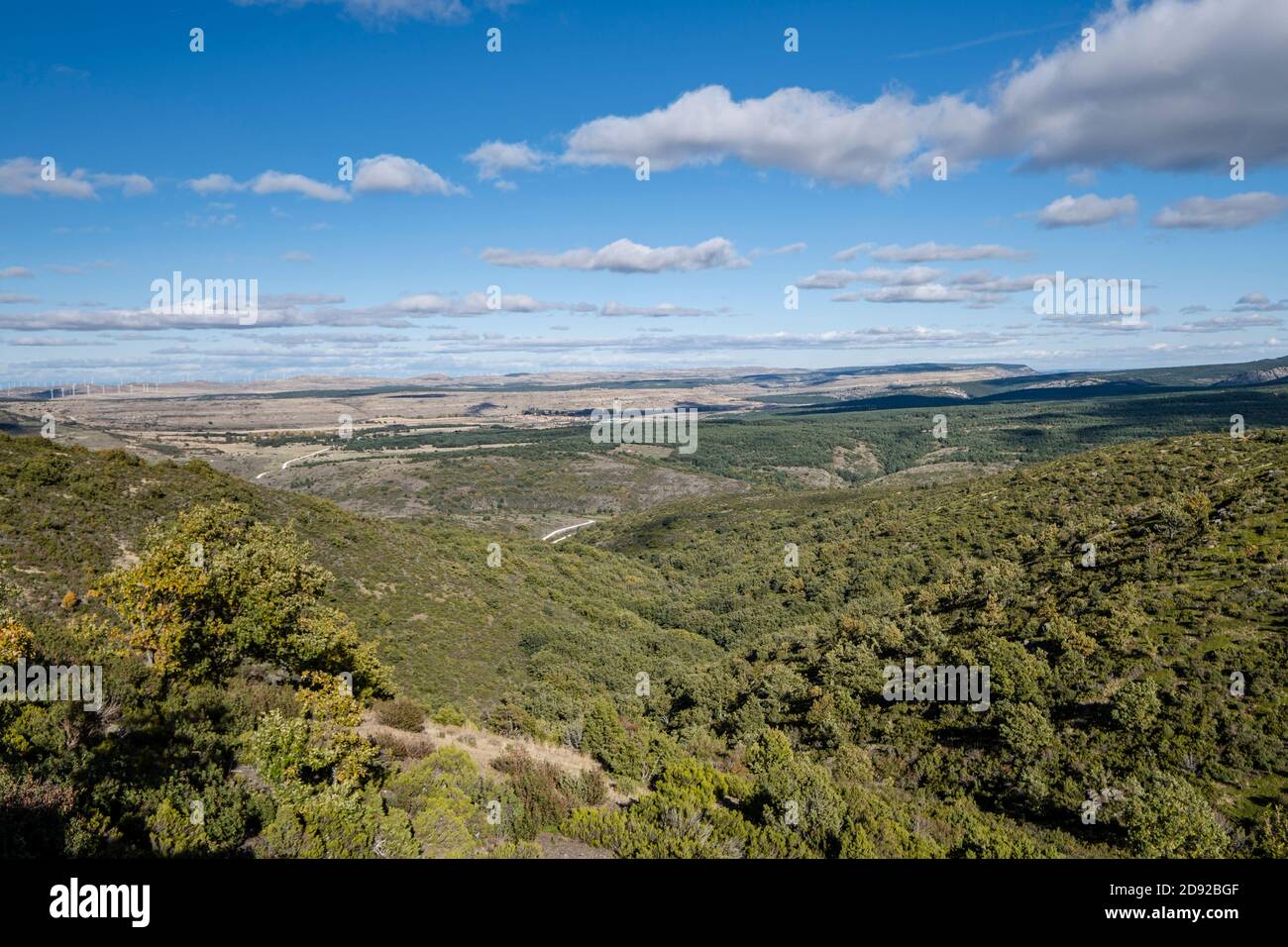 Foto de Área del Río Sonsaz en Cantalojas, Guadalajara