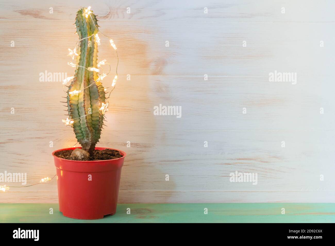 Christmas cactus tree with shining garland on vintage wood background