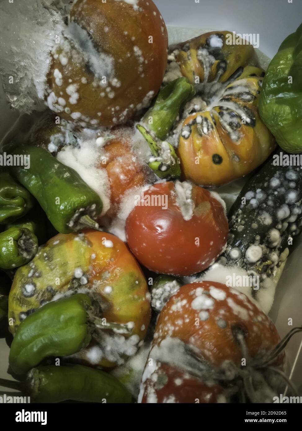 Rotten fruits with mold and bacteria, food poisoning Stock Photo Alamy