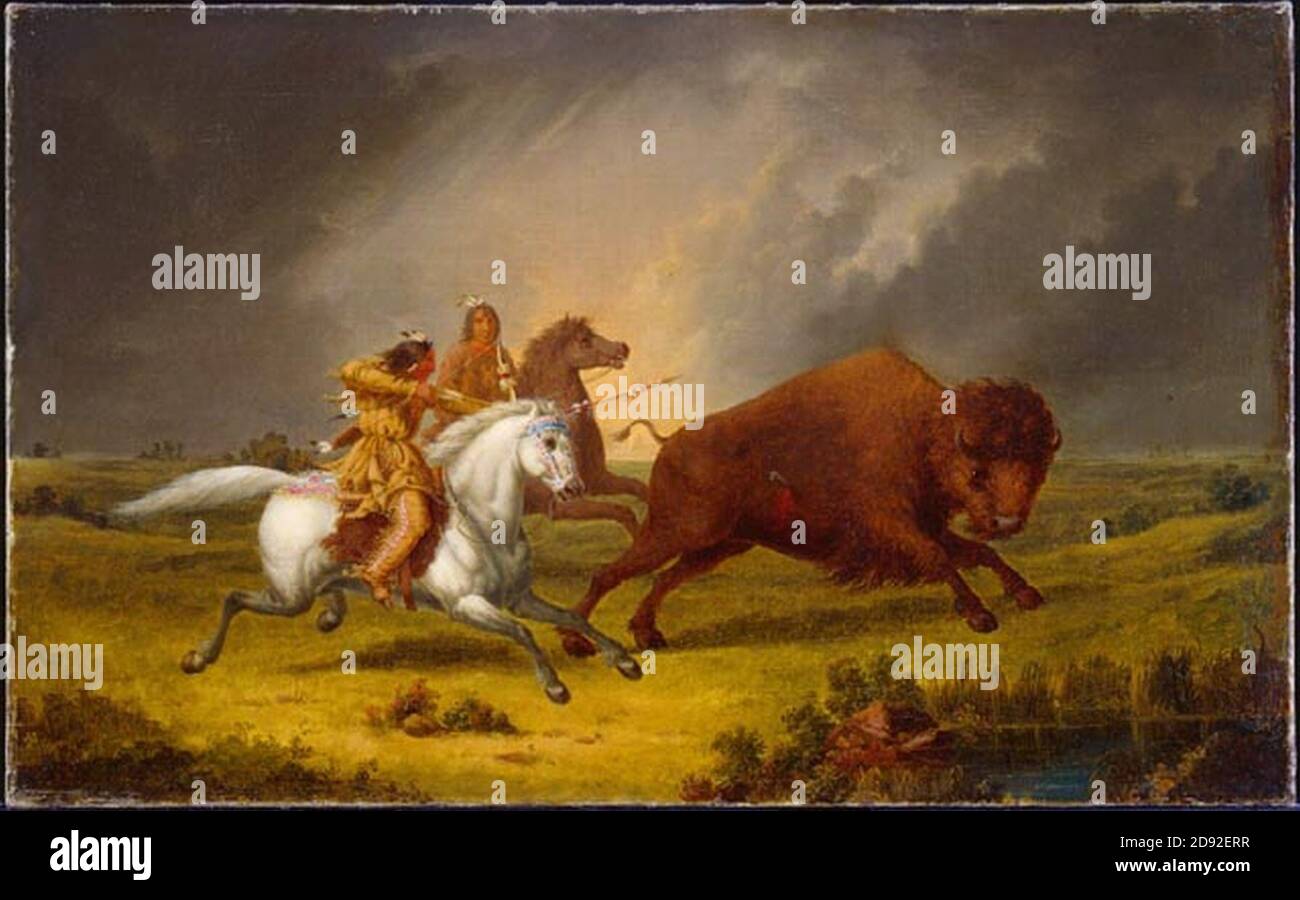 Assiniboine traditional hunting