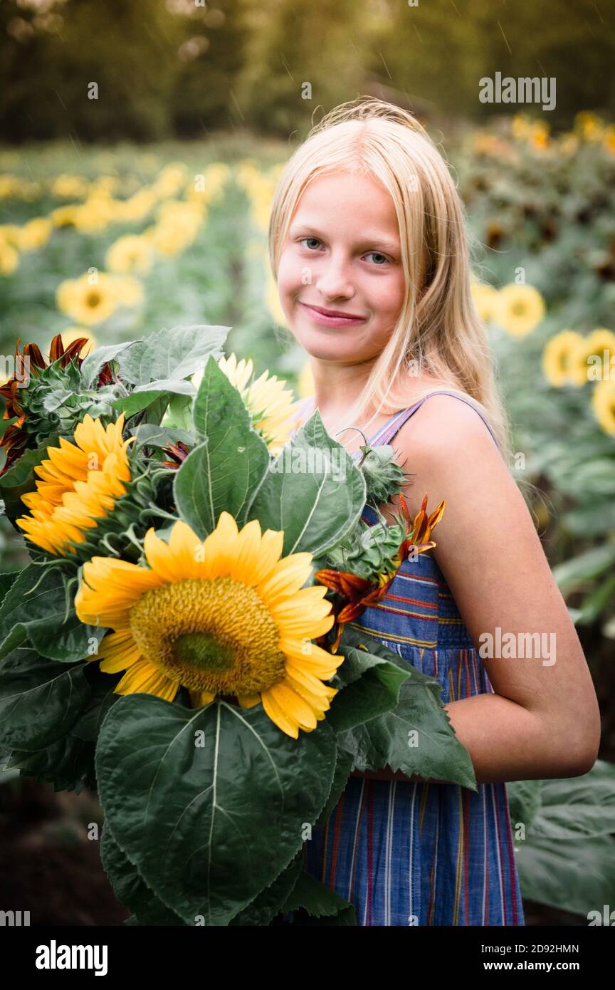 Girl standing in a field of sunflowers hi-res stock photography and ...