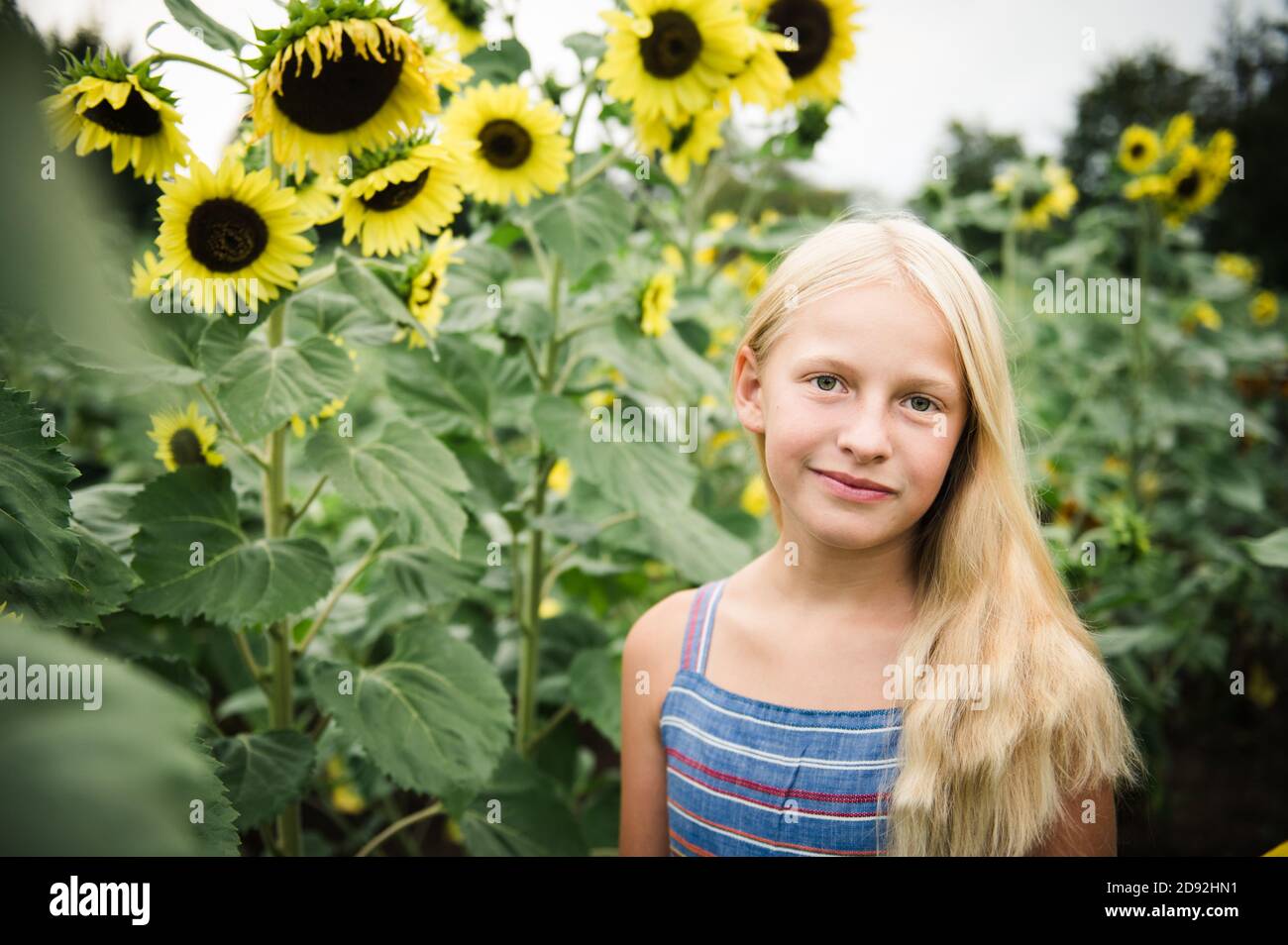 Young Girl Standing in Sunflower Field Next to Tall Yellow Sunflowers ...