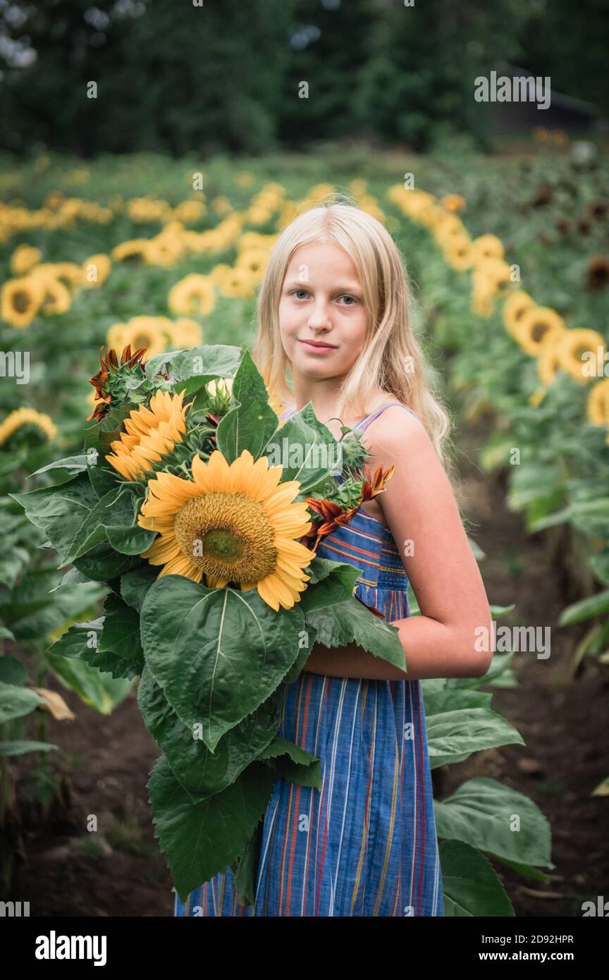 Young Girl Holding Red and Yellow Sunflowers in a Sunflower Field Stock ...
