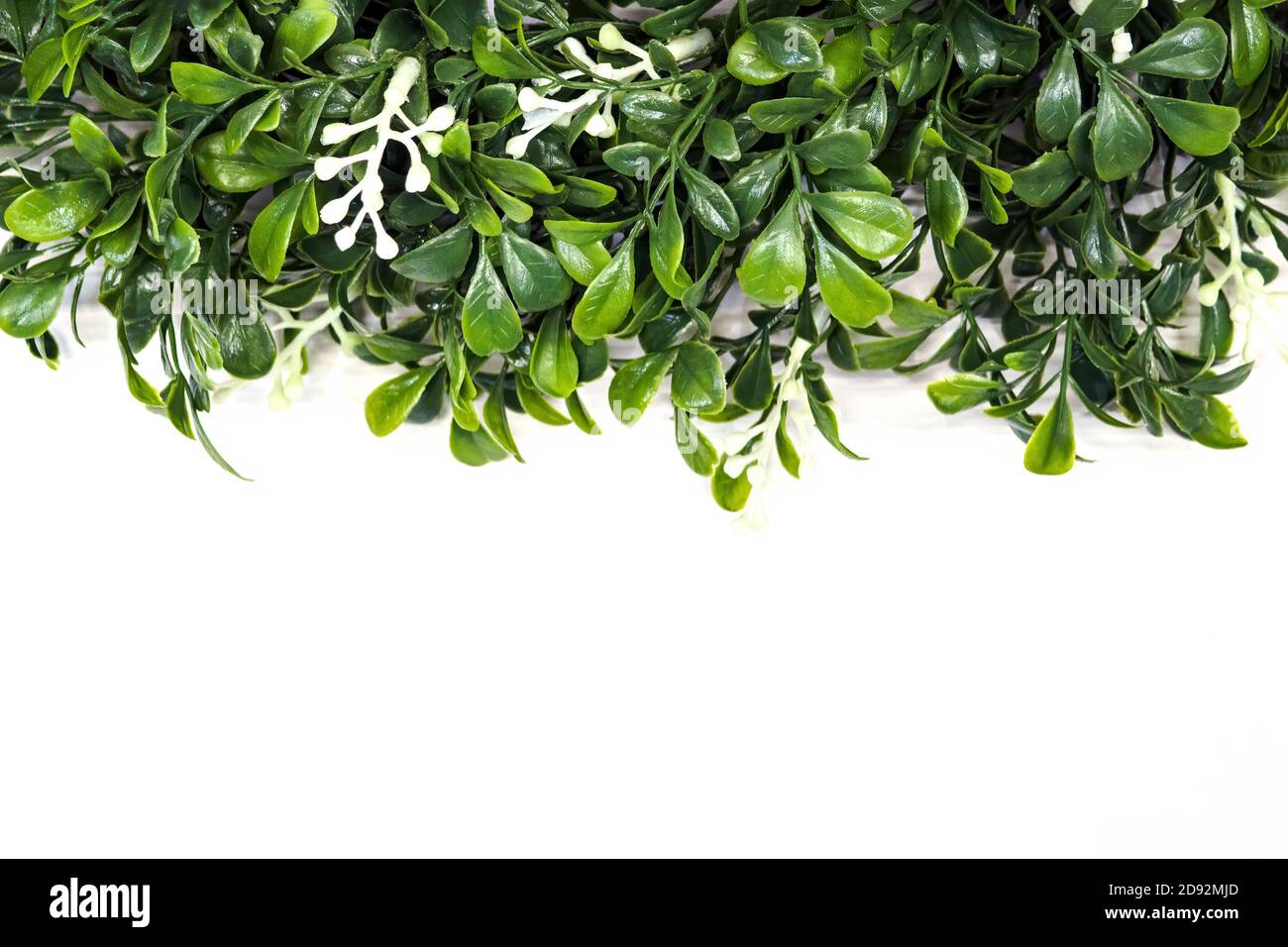 Green artificial grass in white background, selective focus, copy space Stock Photo