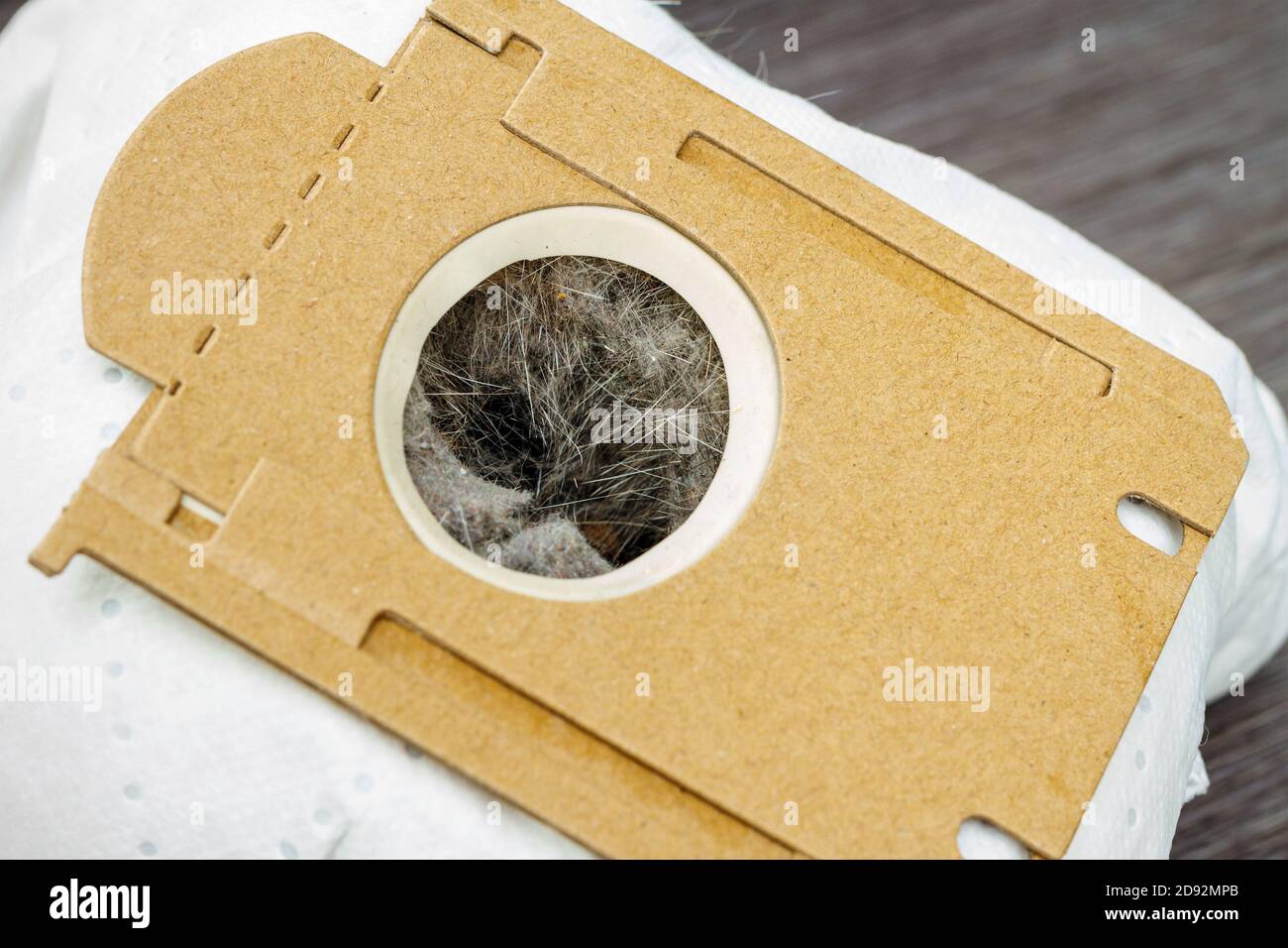 close-up of vacuum cleaner bag full of dust and wool Stock Photo