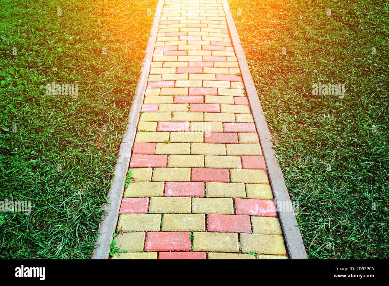 red and yellow brick path in the middle of the green lawn, selective focus Stock Photo