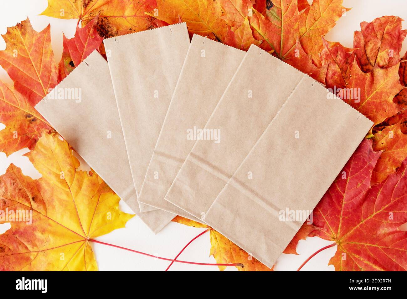 Empty paper bags on pile of dry autumn leaves on white Stock Photo