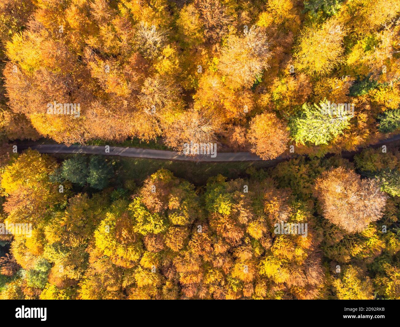 Fall forest landscape with rural road view from above. Colorful nature background. Autumn forest aerial drone view.Idyllic fall scenery from a birds e Stock Photo