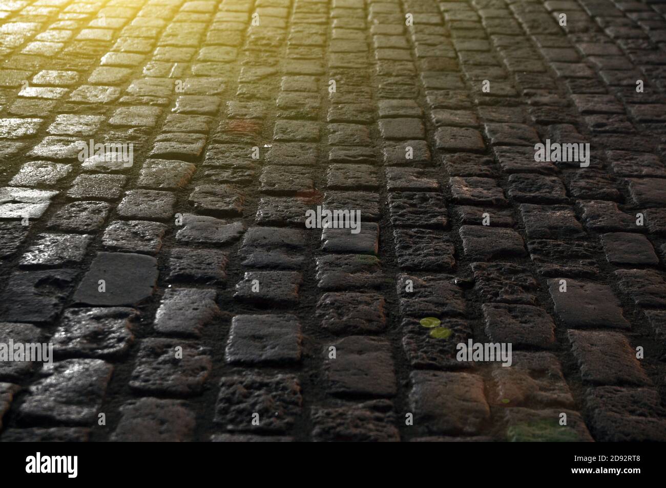 Granite paving stones on the pavement at night. Stock Photo