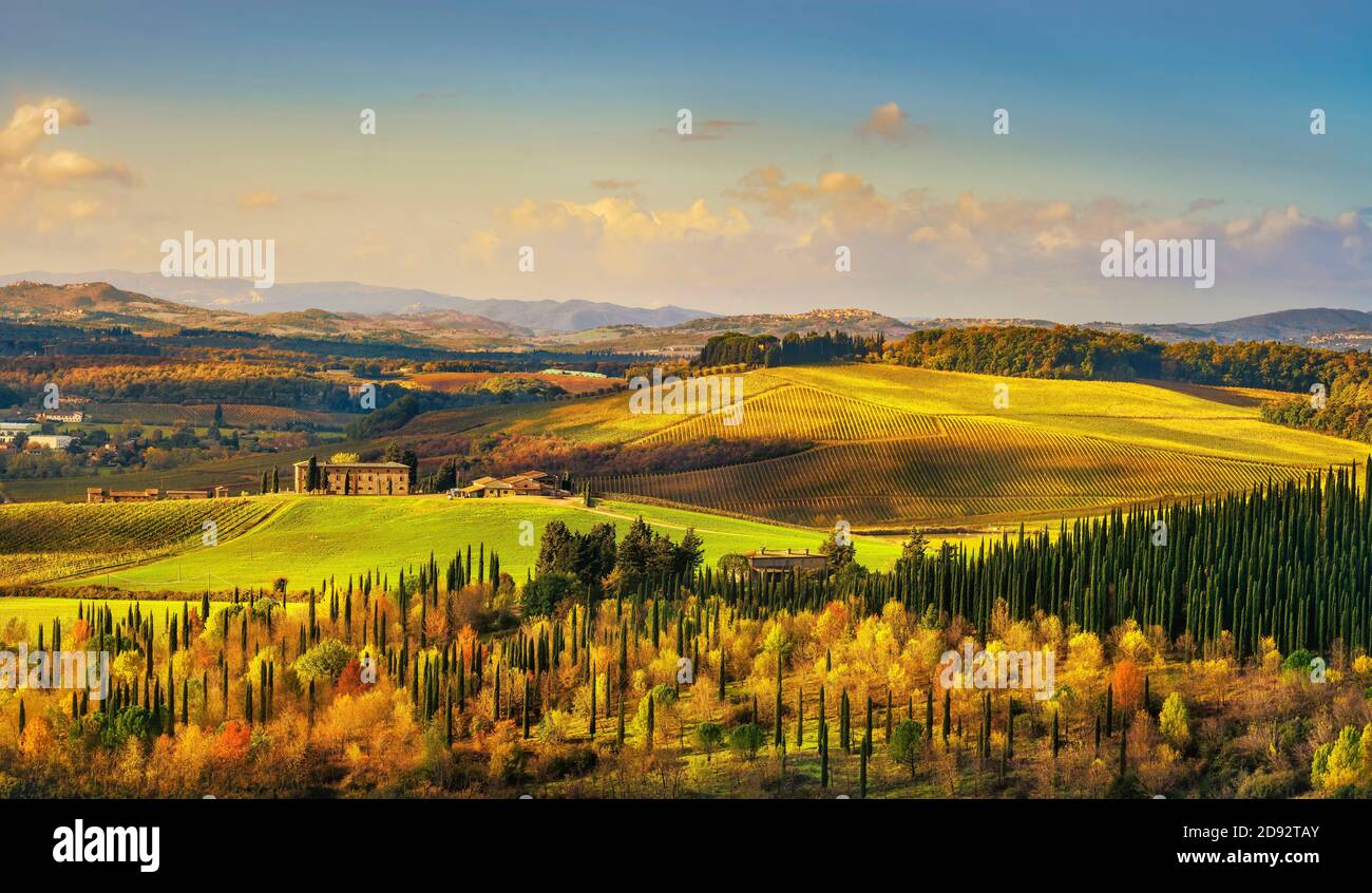 Castellina in Chianti landscape, vineyards and cypress trees in autumn. Tuscany, Italy, Europe. Stock Photo