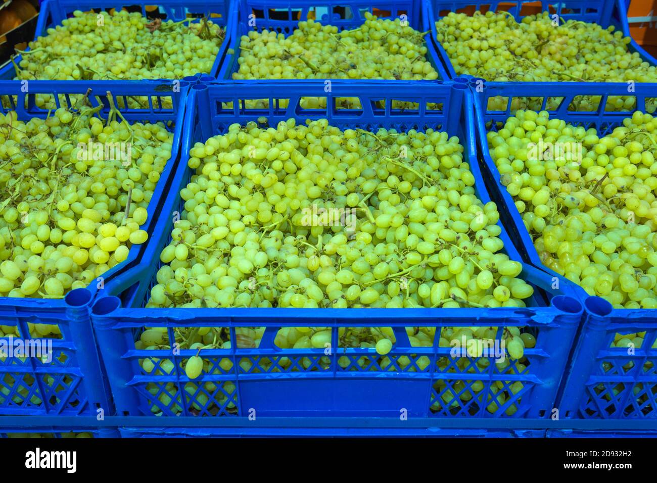 Ripe grapes in wooden boxes. Local produce at the autumn farmers' market. High quality photo Stock Photo