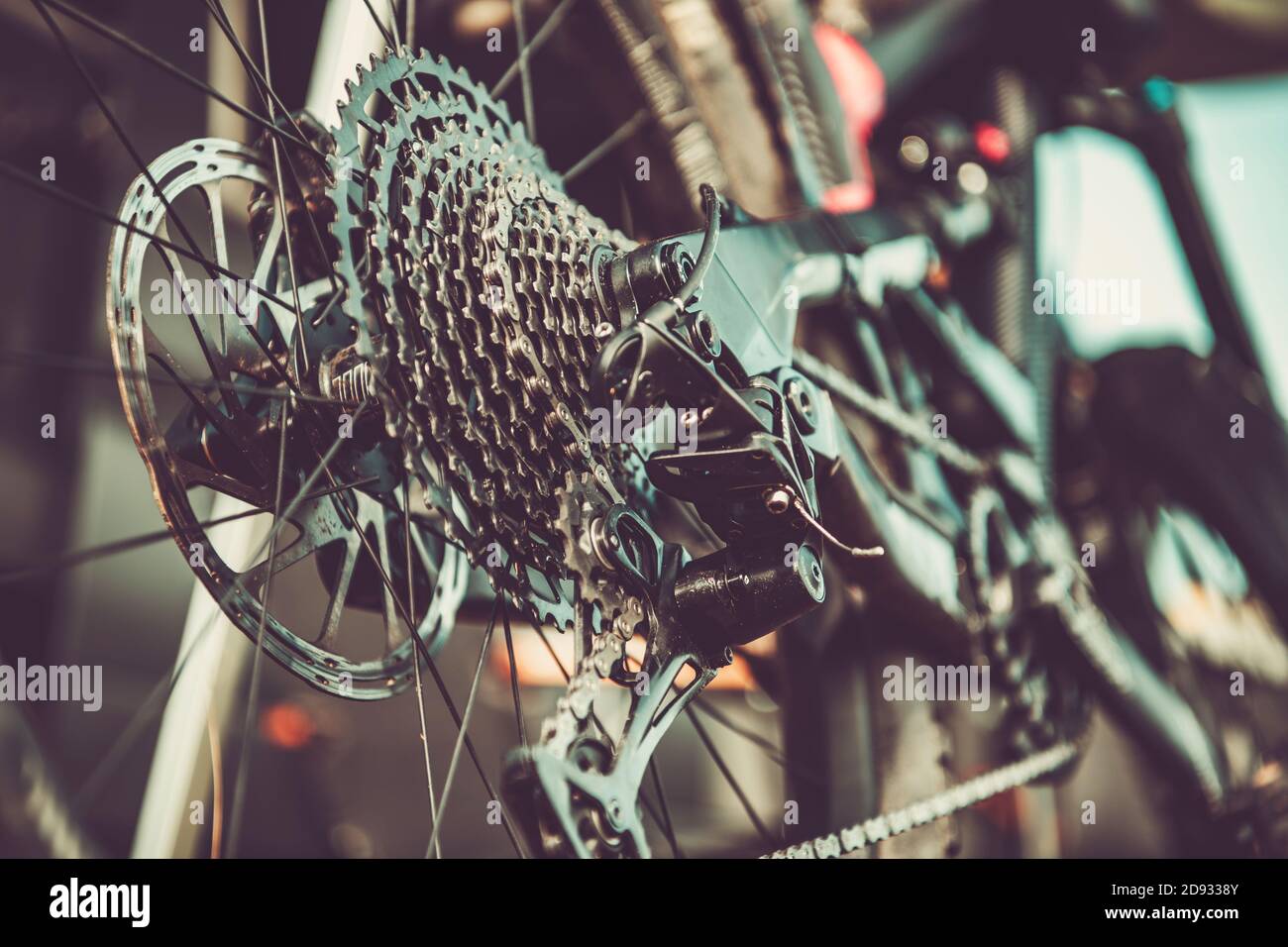 Modern Bicycle Gears Shifting Close Up. Back Derailleur and the Chain