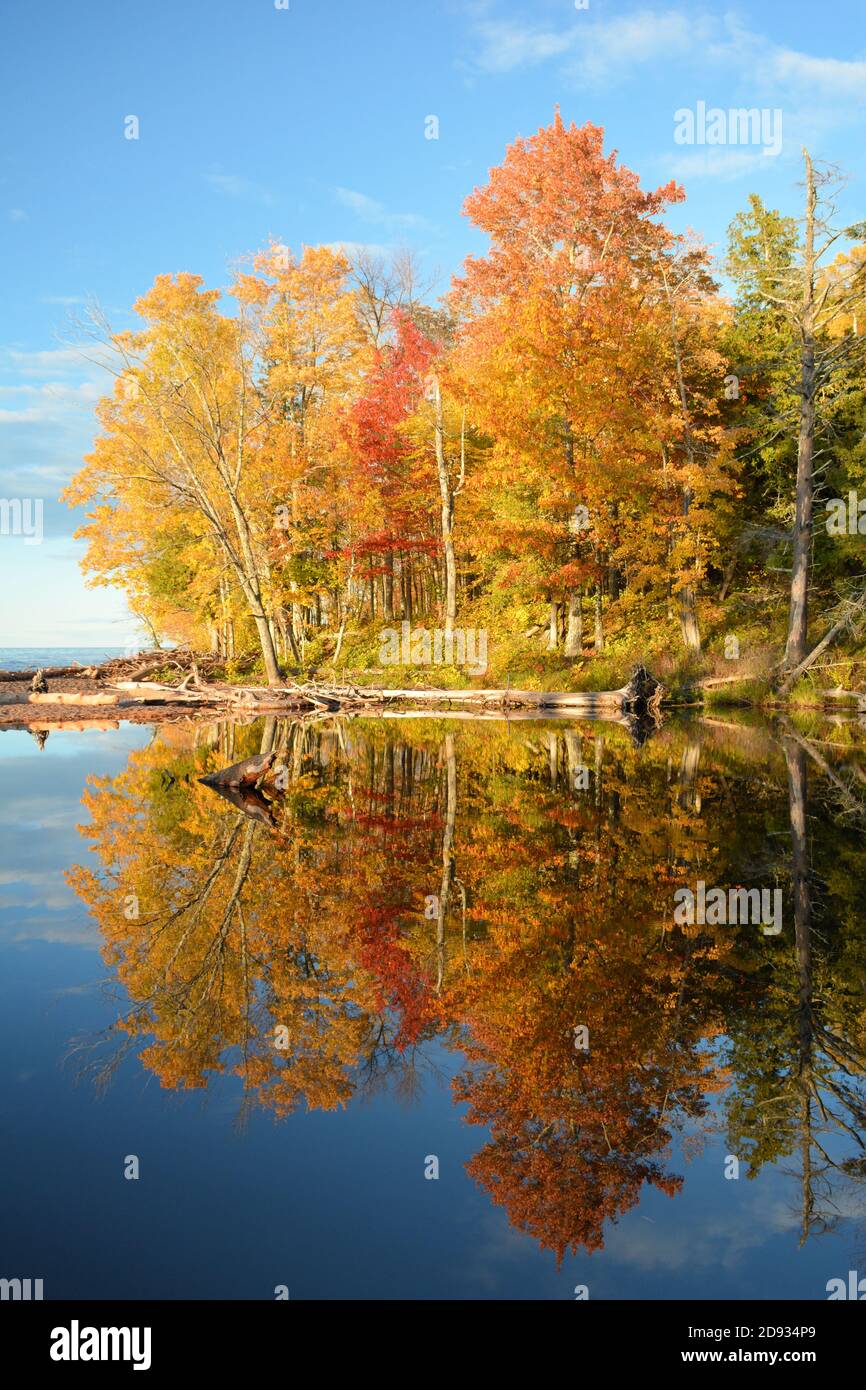 Brilliant fall colors and a blue sky mirrored in calm waters at the mouth of a river Stock Photo