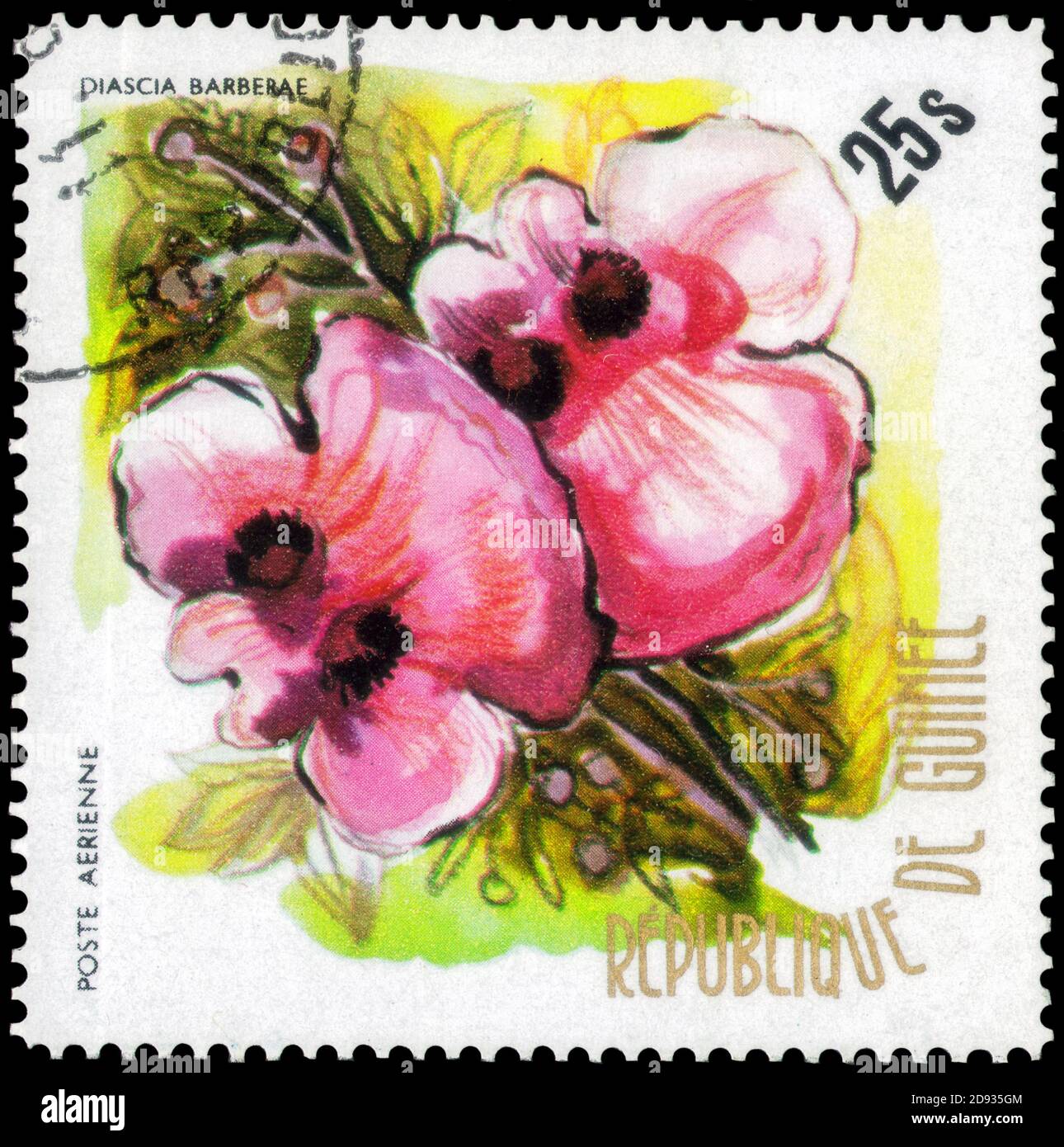 Saint Petersburg, Russia - September 18, 2020: Stamp printed in the Guinea with the image of the Diascia barberae, circa 1974 Stock Photo