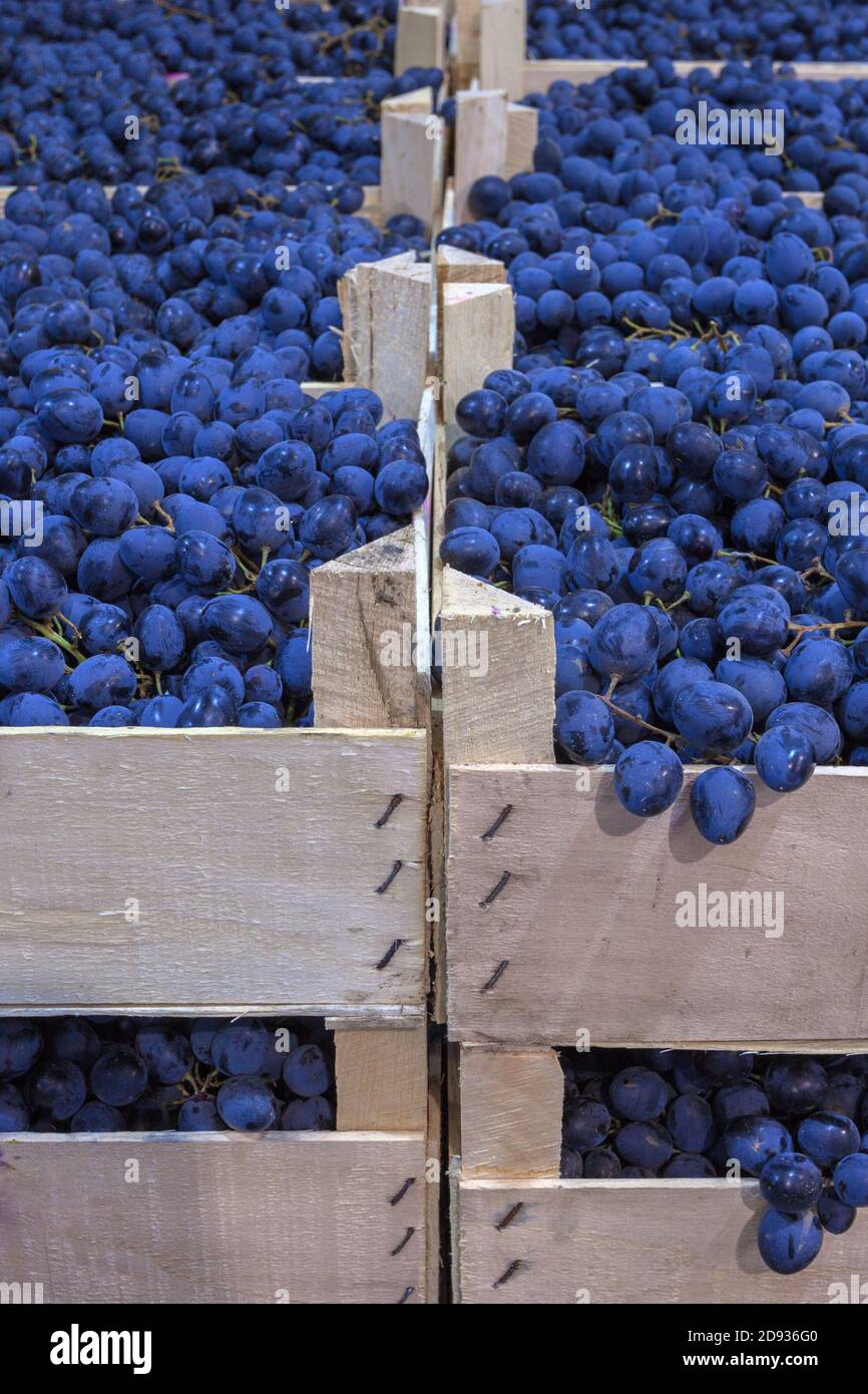 Grapes in boxes hi-res stock photography and images - Alamy