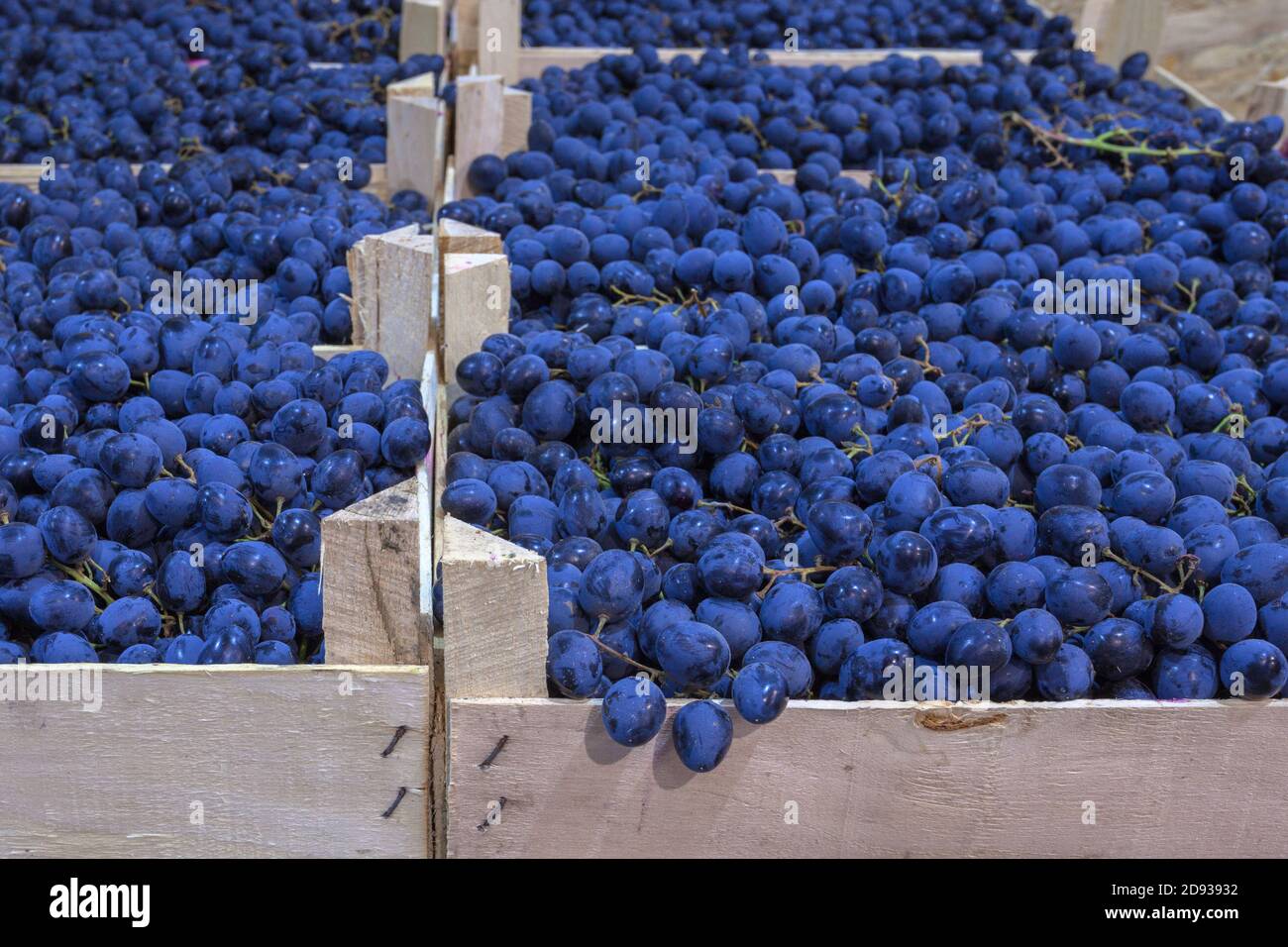 Grapes in boxes hi-res stock photography and images - Alamy