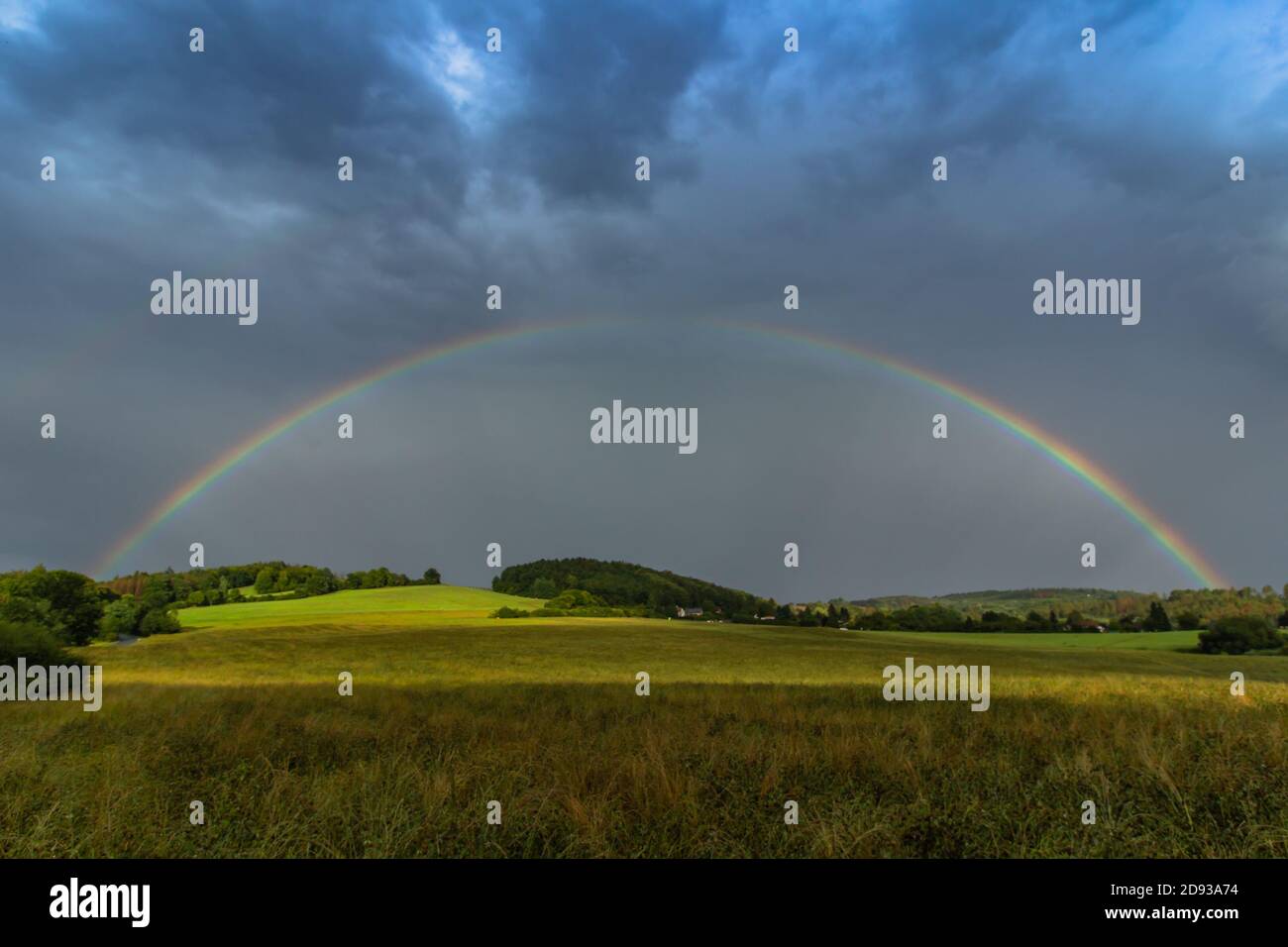 Rainbow and sunbeams illuminate fall meadow.Beautiful intense rainbow