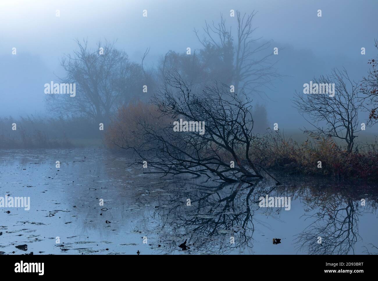 Morning fog at Paar river near Schrobenhausen, Bavaria, Germany in autumn Stock Photo