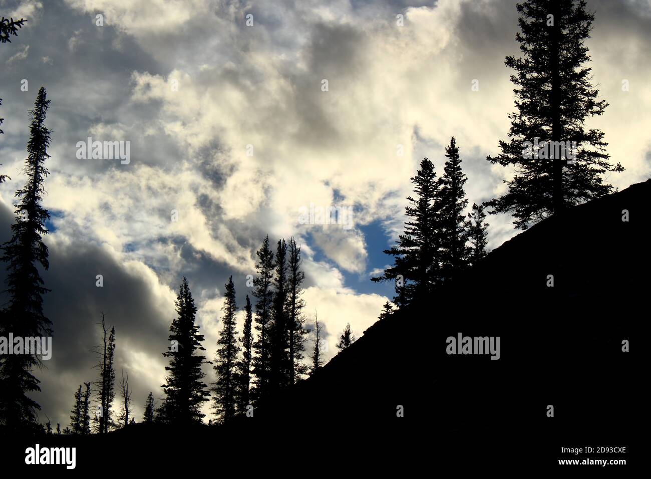 Landscape trees and clouds hi-res stock photography and images - Alamy