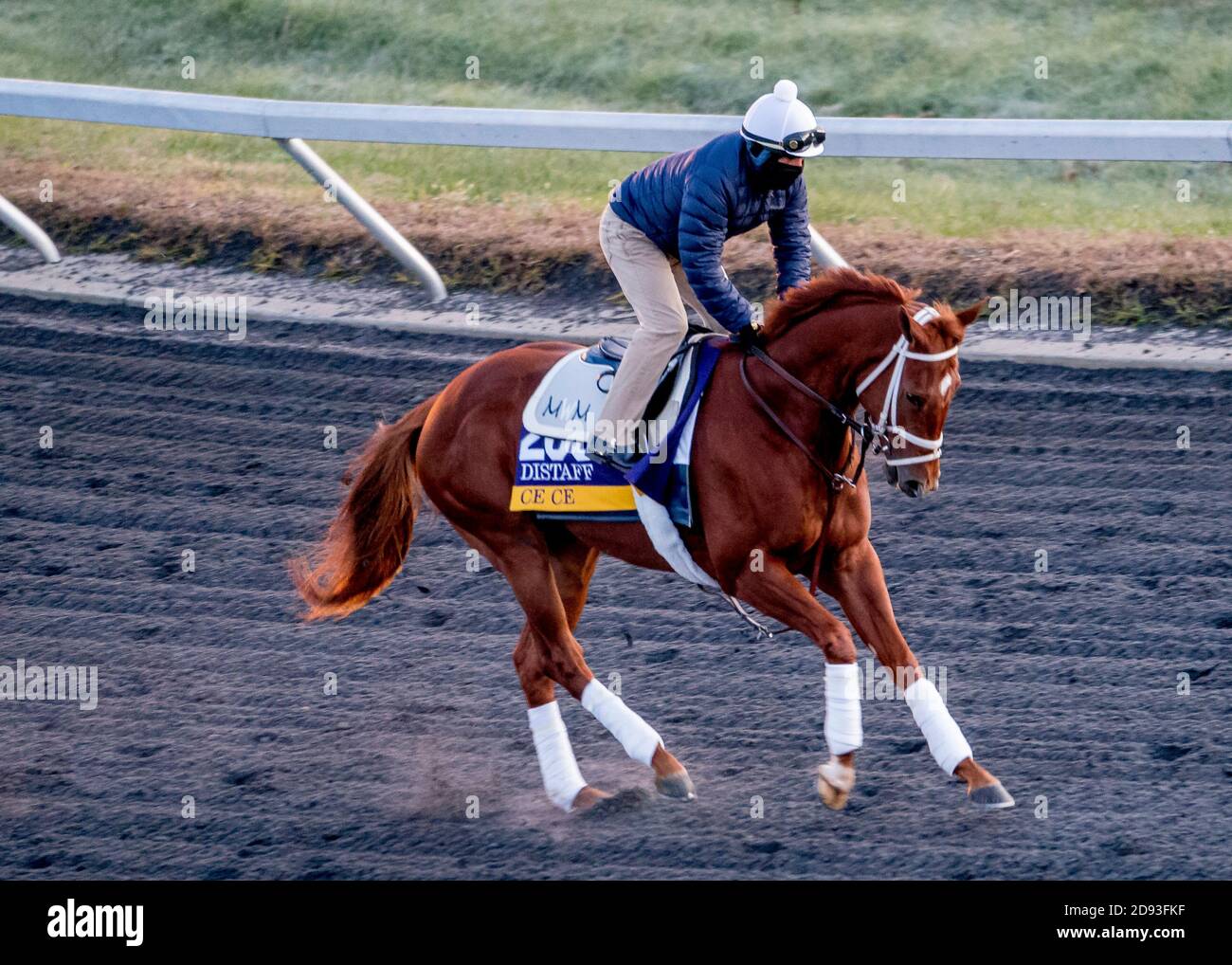 Michael mccarthy trainer hi-res stock photography and images - Alamy