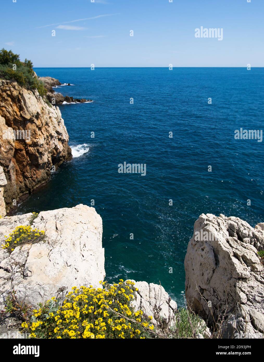 Yellow flowers, blue sea, blue sky on the 'Cap d'Antibes', French riviera , France Stock Photo