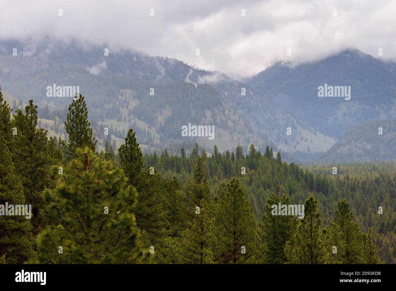 Sawtooth Mountains in Idaho Stock Photo Alamy