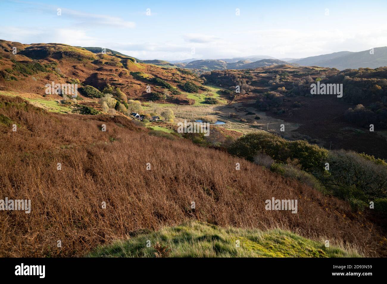 A remote Scottish hillside, Scotland, UK Stock Photo Alamy