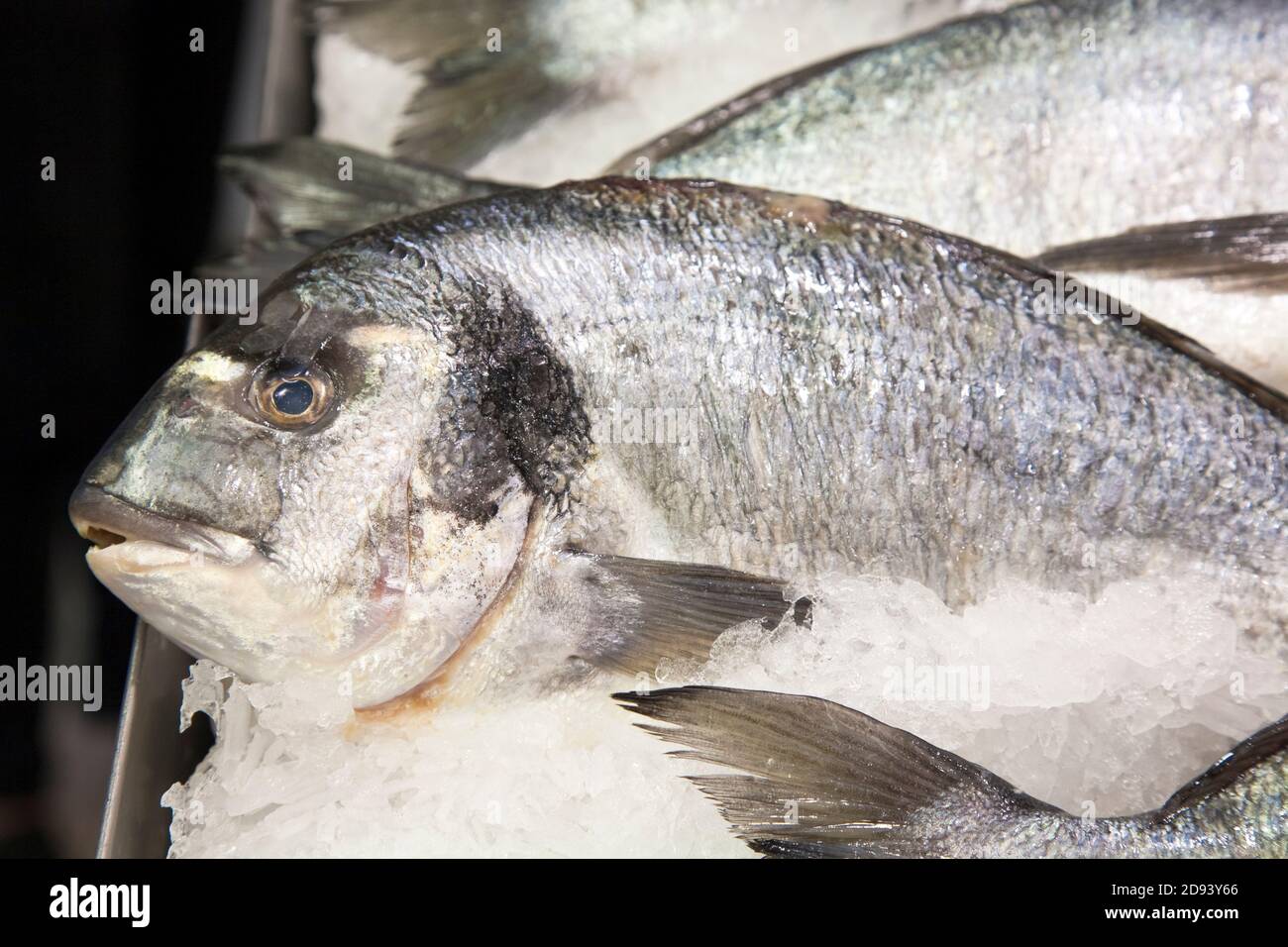 fresh, fish, market, sale, keeping Stock Photo Alamy