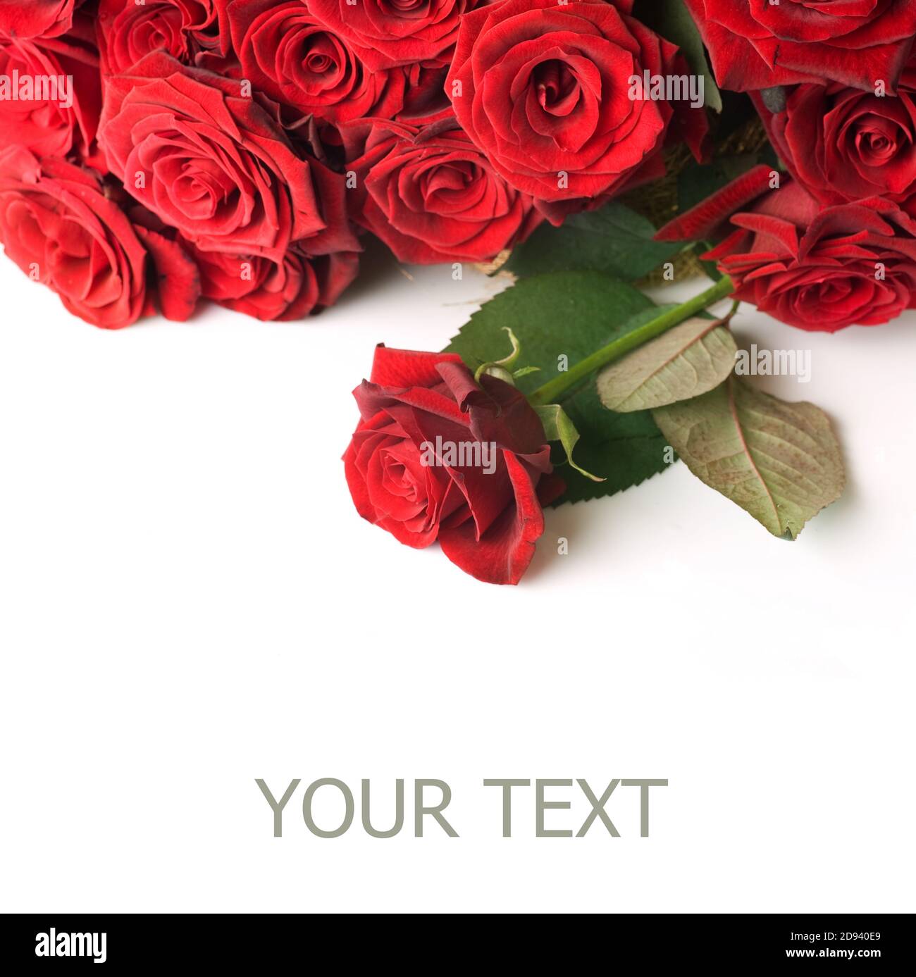 gacha rose toy What Is A Rose Toy? Inside TikTok's Viral Adult Toy Trend