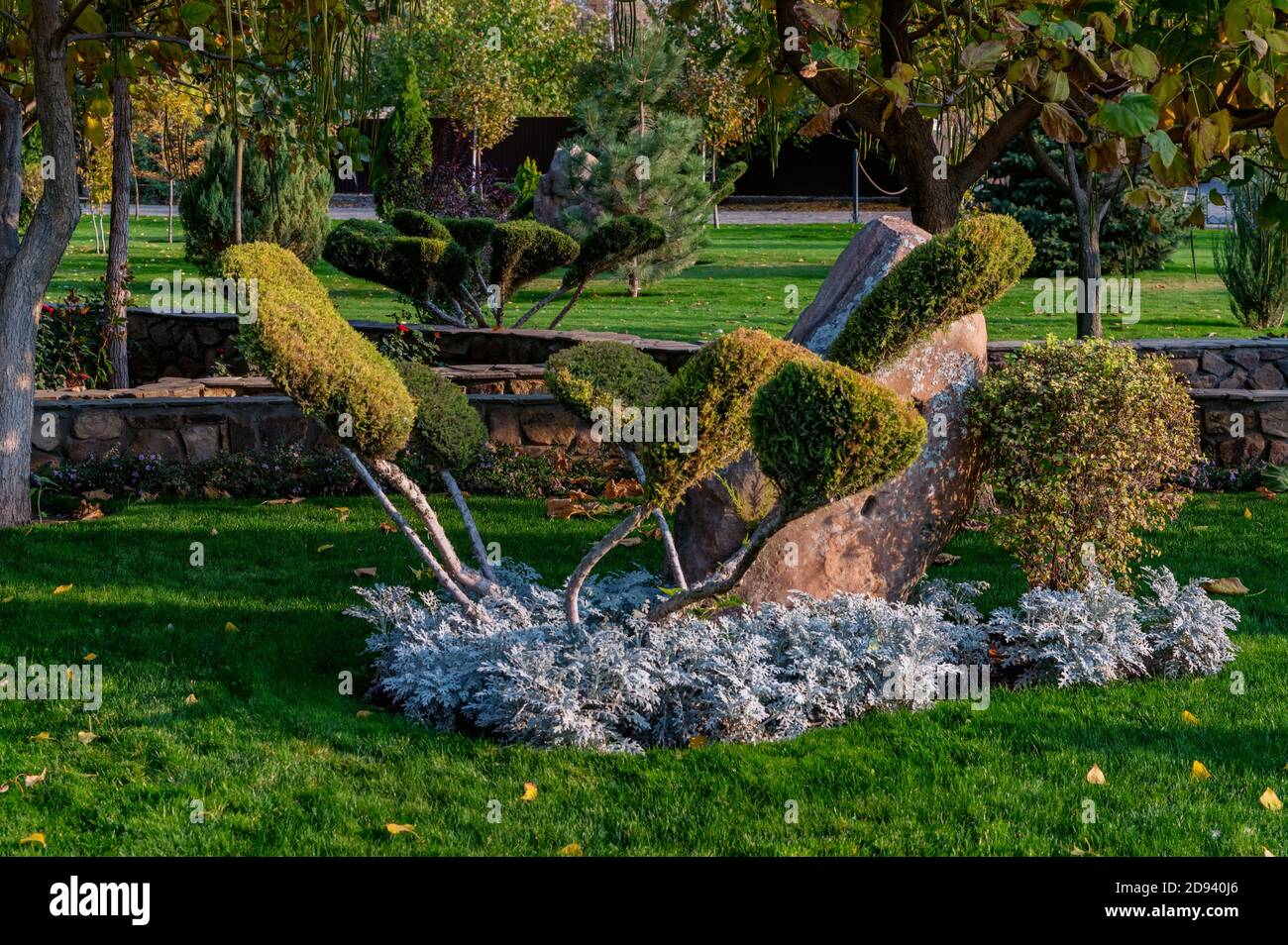 Photo of a beautiful garden with decorative small trees Stock Photo - Alamy