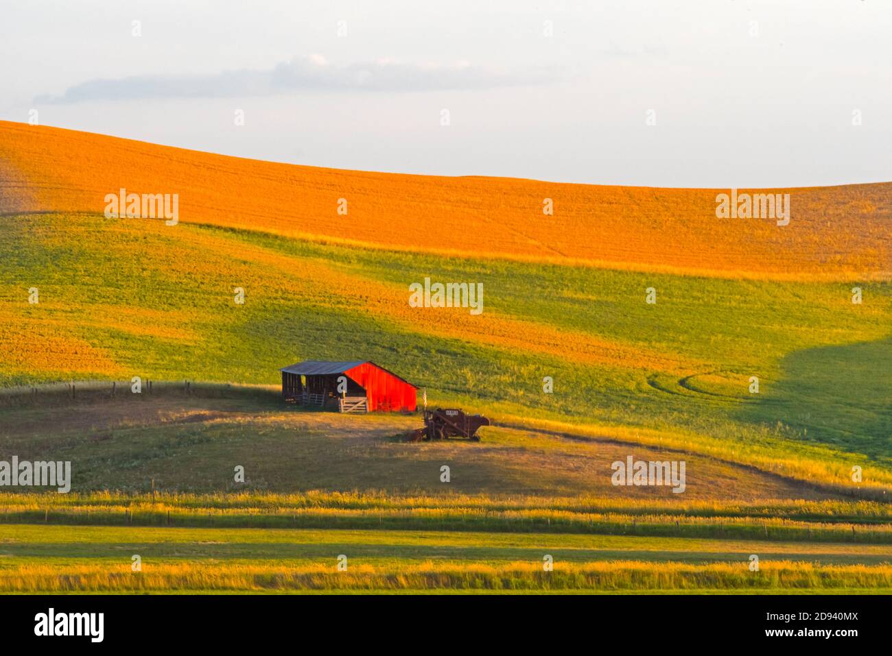 Barn on wheat field, Palouse, Washington State, USA Stock Photo