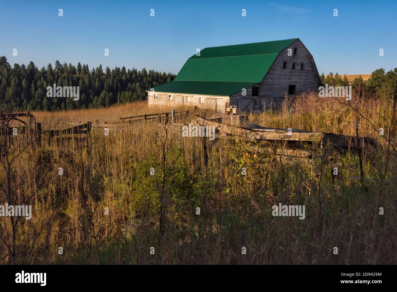Morning view of farm and farm house, Palouse, Washington State, USA Stock Photo