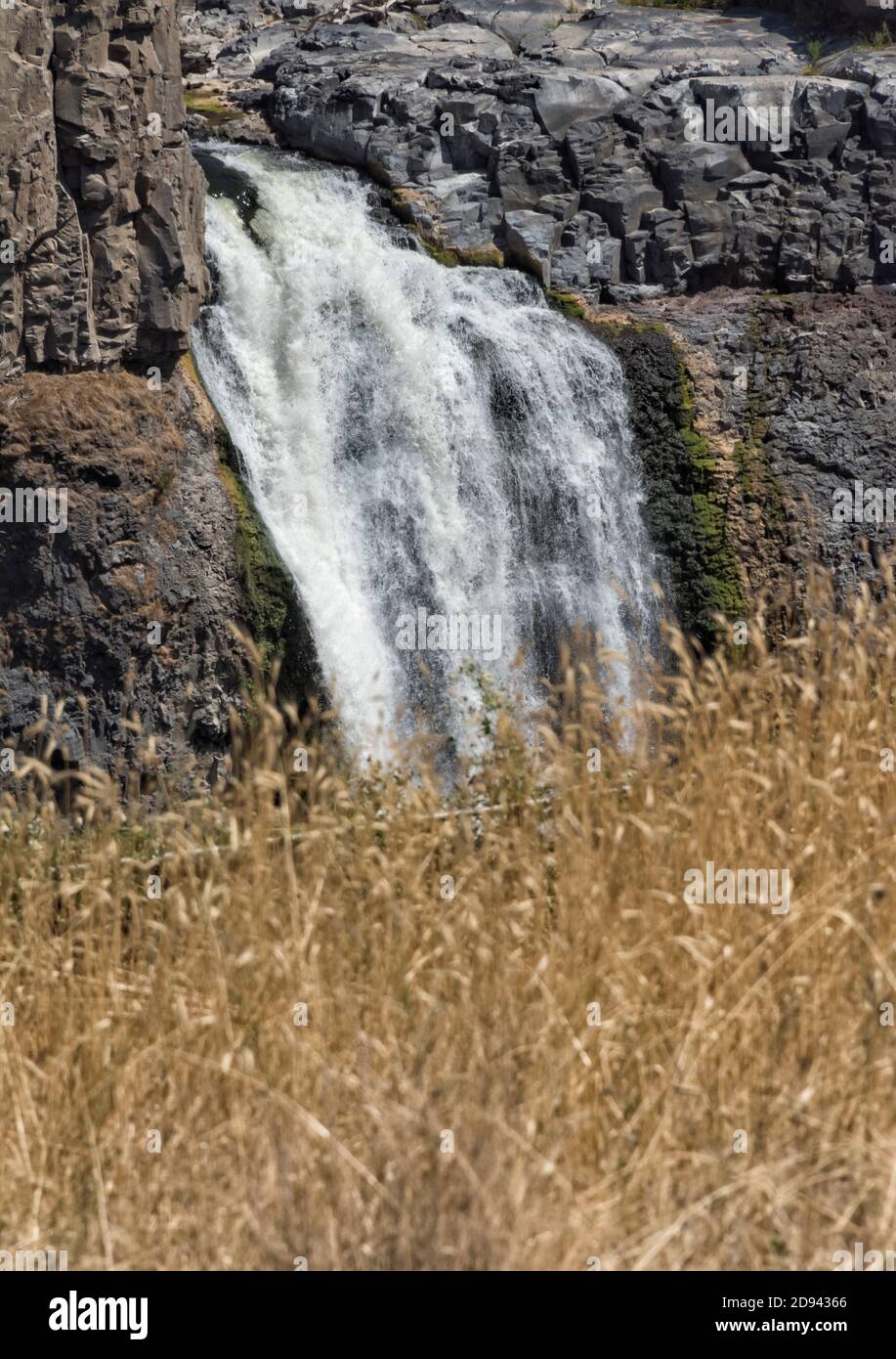 Palouse Falls with wheat field, Palouse, Washington State, USA Stock Photo