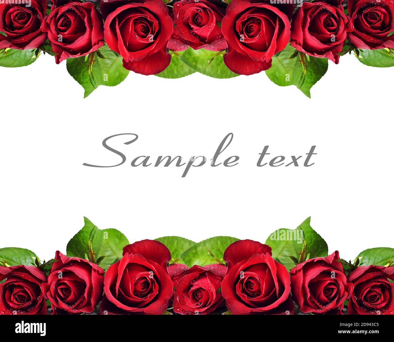 Red Roses Page Header Red rose speedway hi-res stock photography and images - Alamy