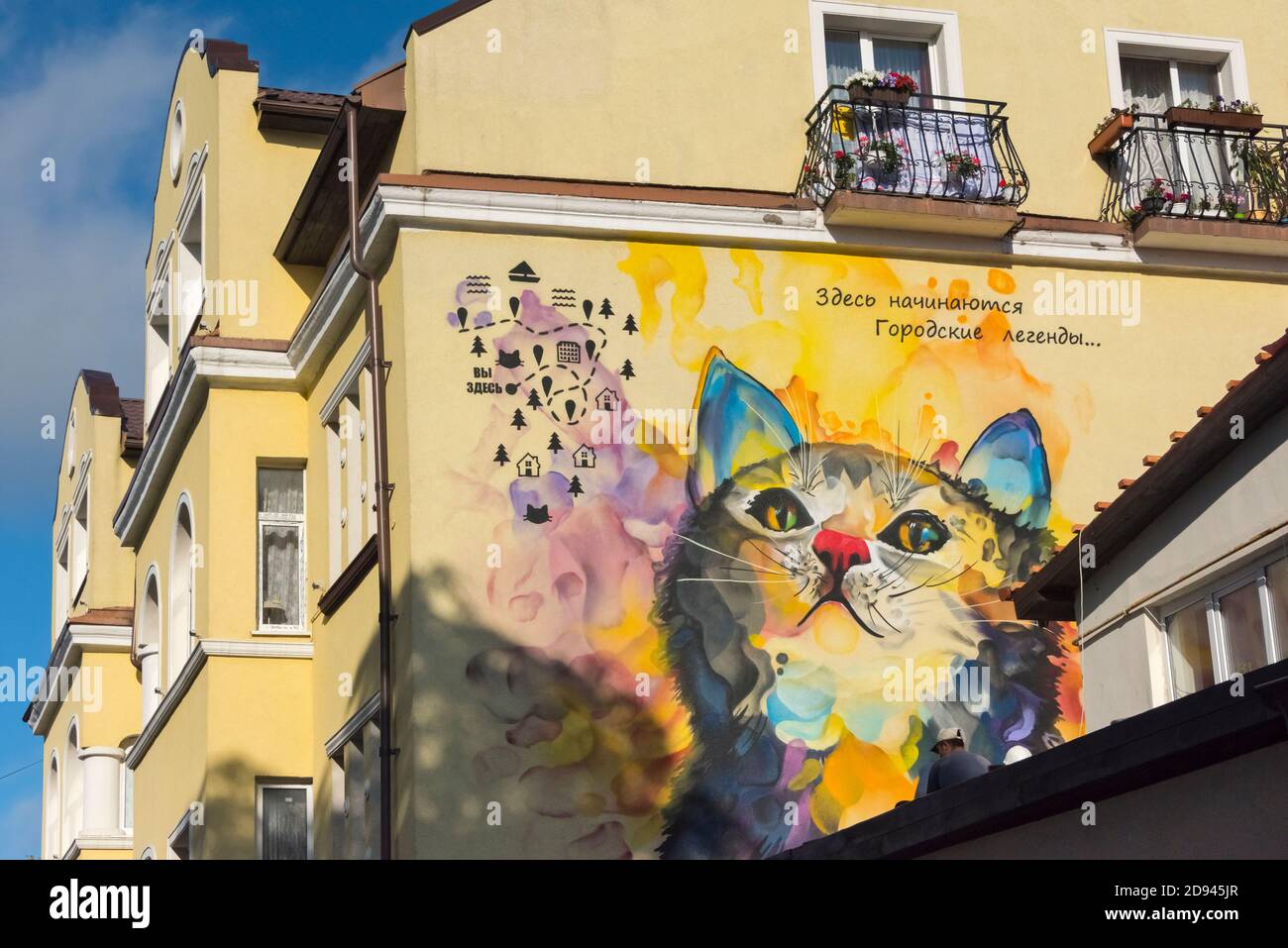 Painting of cat on the exterior wall of a building, Zelenogradsk