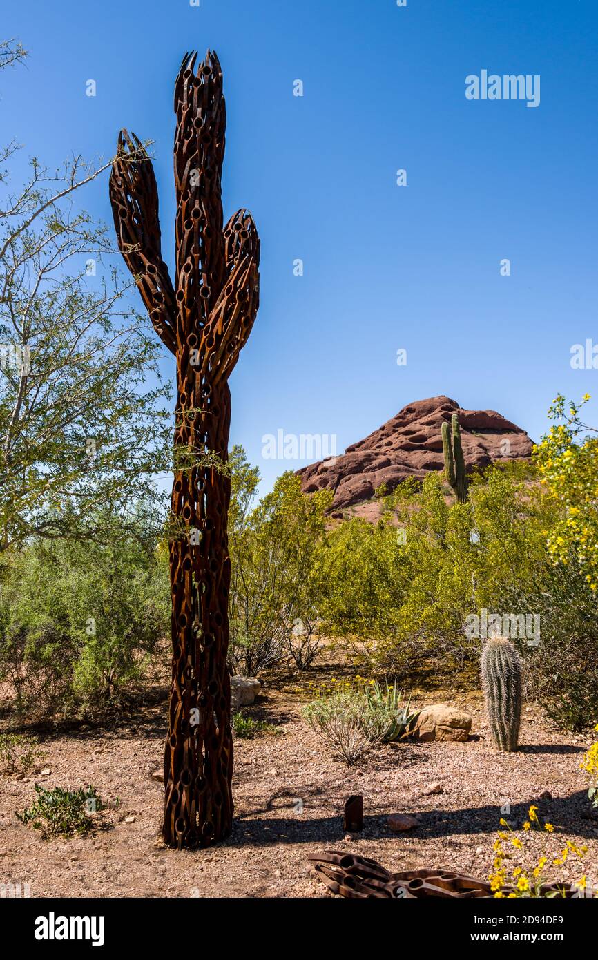 Desert Botanical Garden, Saguaro Cactus Sculpture Stock Photo