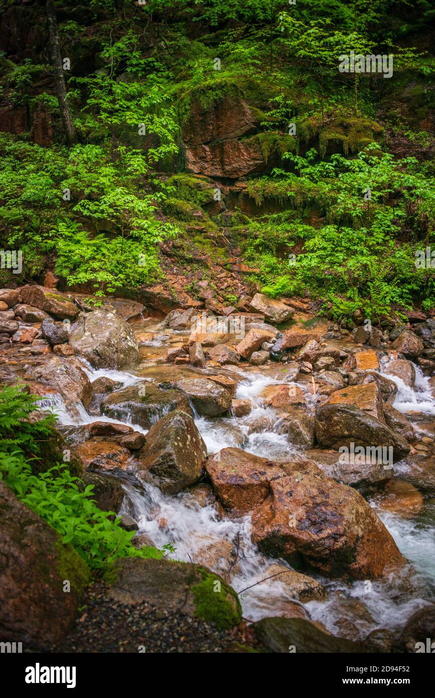 Franconia Notch State Park Stock Photo Alamy