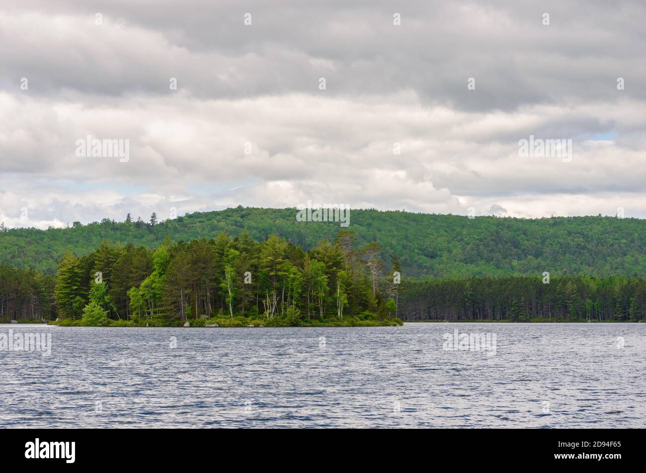 Maine North Woods Stock Photo Alamy