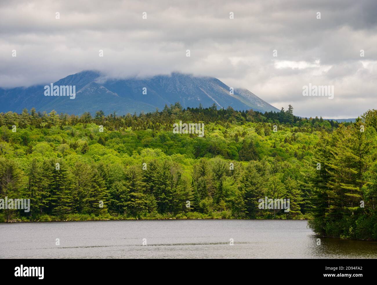 Maine North Woods Stock Photo Alamy