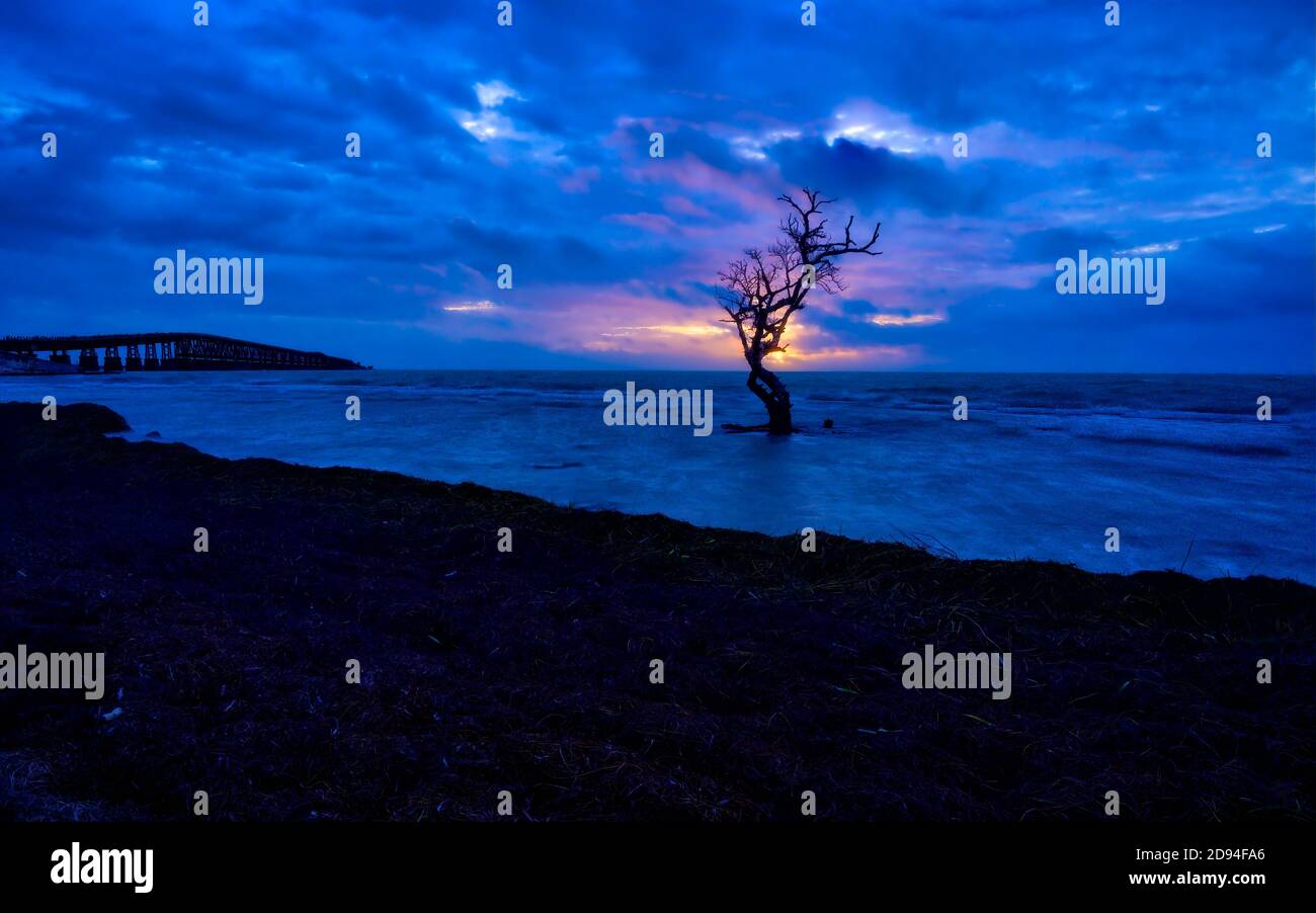 First Light in the Florida Keys Stock Photo