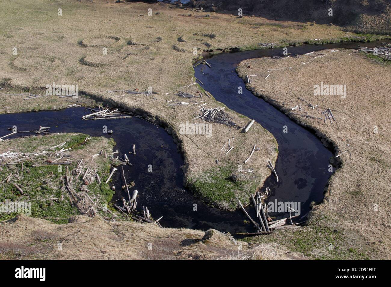 Circular foundations of Ainu dwellings, and Siberian driftwood, Onekotan Island, Kuril chain, Sea of Okhotsk, Russia 3rd June 2012 Stock Photo